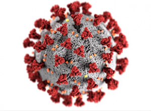 close up of covid-19 virus