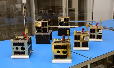 Microsatellites